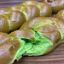 صورة ميني بريوش  خلطة الفلافل